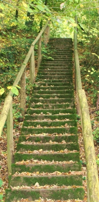 Der Weg zum Erfolg