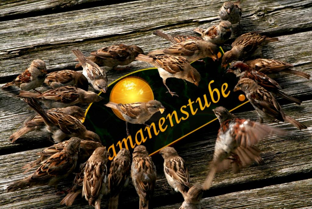Schamanenstube Kennenlernen