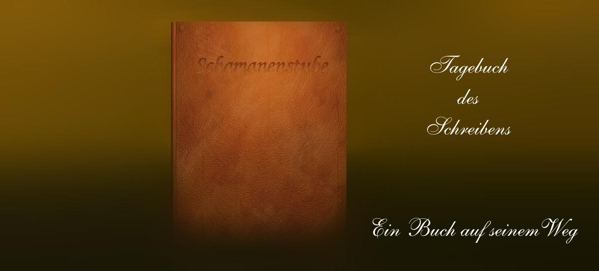 Das Buch über schamanische Praxis mit therapeutischem Hintergrund Schamanismus Therapie Buch